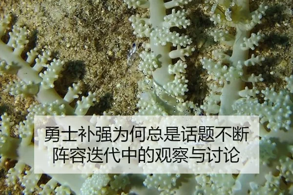 yong-shi-bu-qiang-wei-he-zong-shi-hua-ti-bu-duan-zhen-rong-die-dai-zhong-de-guan-cha-yu-tao-lun-2-673.jpg